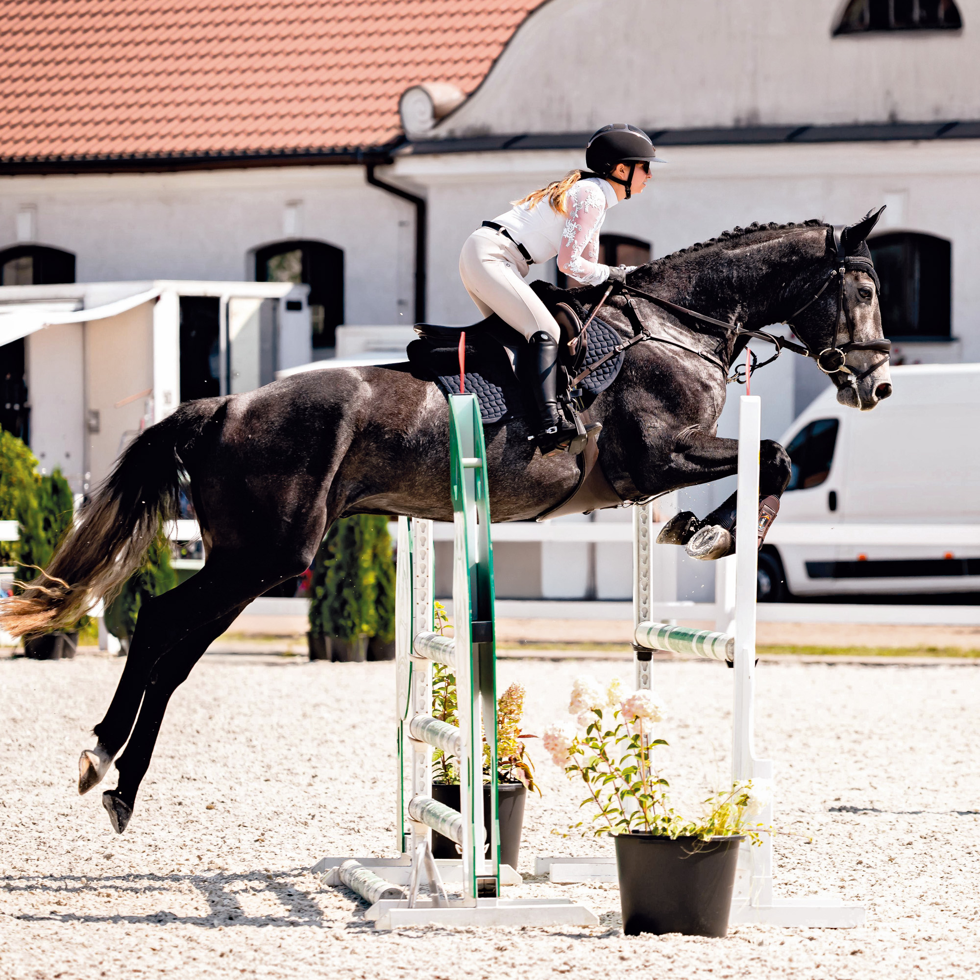 Jessica Komorowska, Szkółka Jazdy Konnej i Hodowla Koni Sportowych, JB Horses i Rancho Kimana, Polska